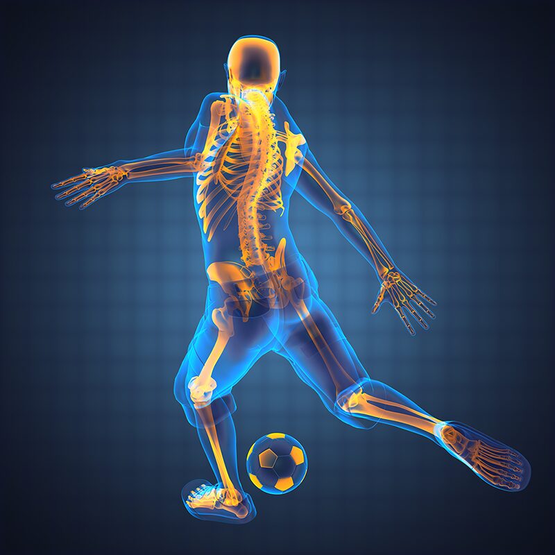 Soccer Player Augmented Reality Tracking