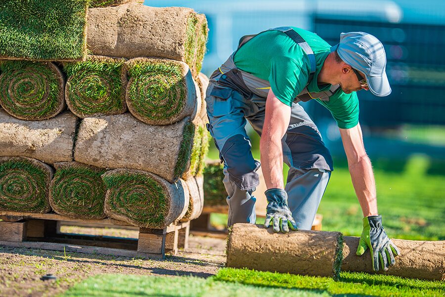 Landscaper laying sod