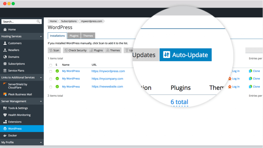 webnames wordpress hosting auto update manager