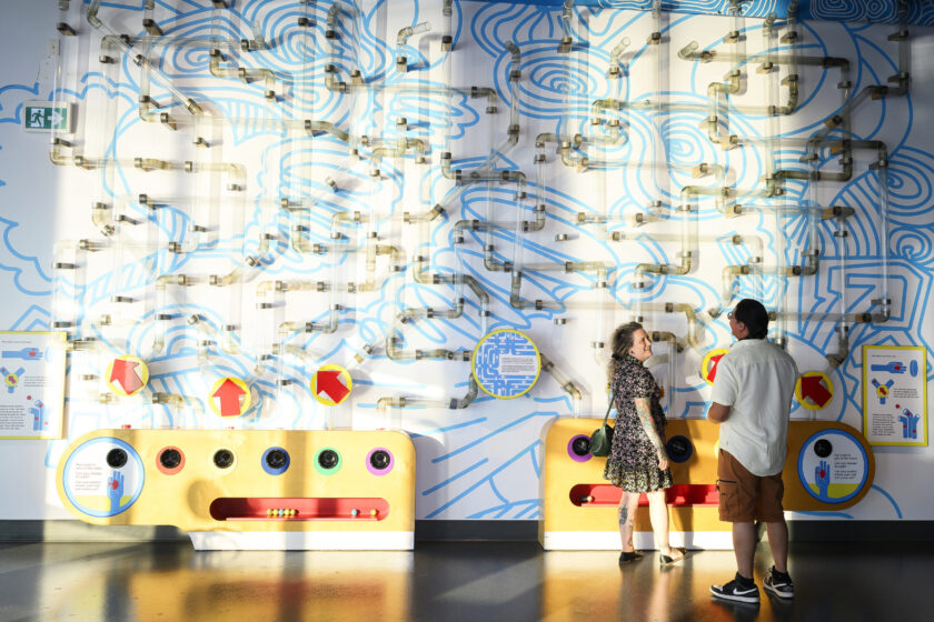 Webnames and Girls and STEAM 2025