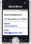 dot_tel_blackberry_business.png