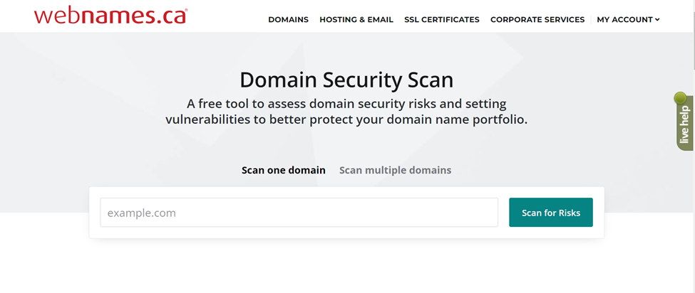 The Ultimate Guide To Domain Name Security